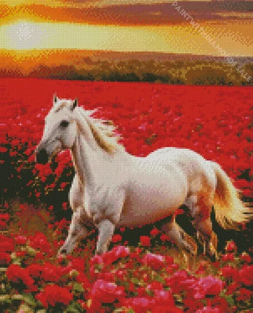 White Horse In Flowers Field Diamond Painting