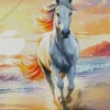 White Horse Running On The Beach At Sunset Diamond Painting