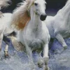 White Horses Diamond Painting