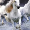 White Horses Diamond Painting