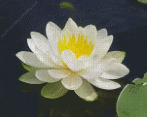 White Water Lily Diamond Painting