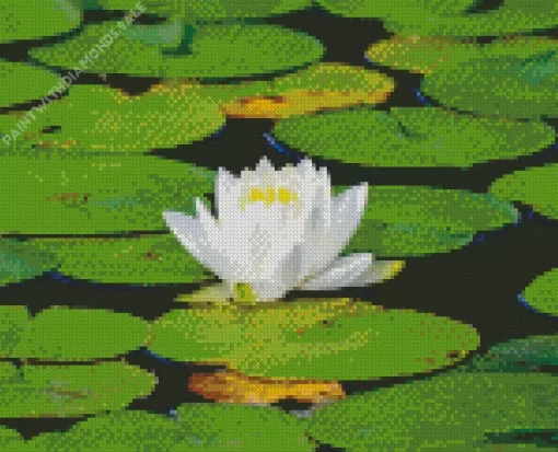 White Water Lily Diamond Painting