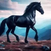 Wild Black Horse Diamond Painting