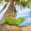 Wild Fijian Iguana Diamond Painting