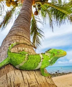 Wild Fijian Iguana Diamond Painting