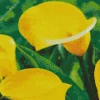 Yellow Calla Lilies Flowers Diamond Painting