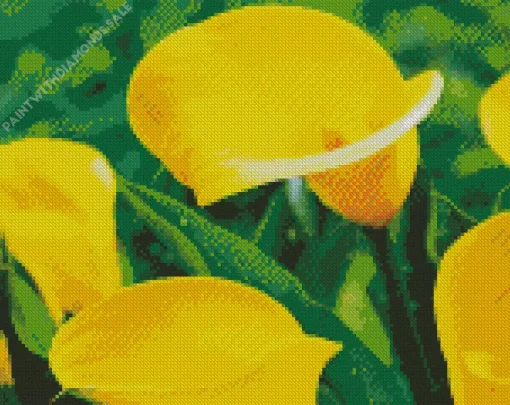 Yellow Calla Lilies Flowers Diamond Painting