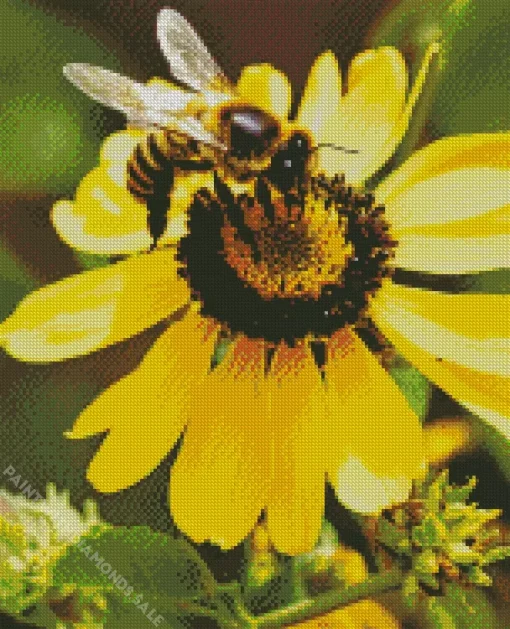 Yellow Coneflower And Bee Diamond Painting