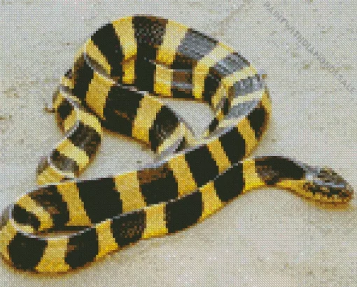 Yellow And Black Snake Diamond Painting