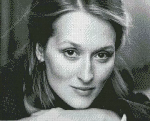 Young Meryl Streep Diamond Painting