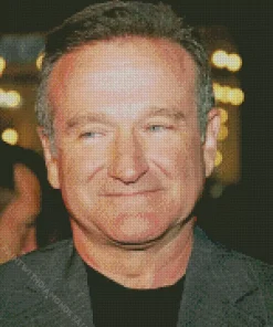 Actor Robin Williams Diamond Painting