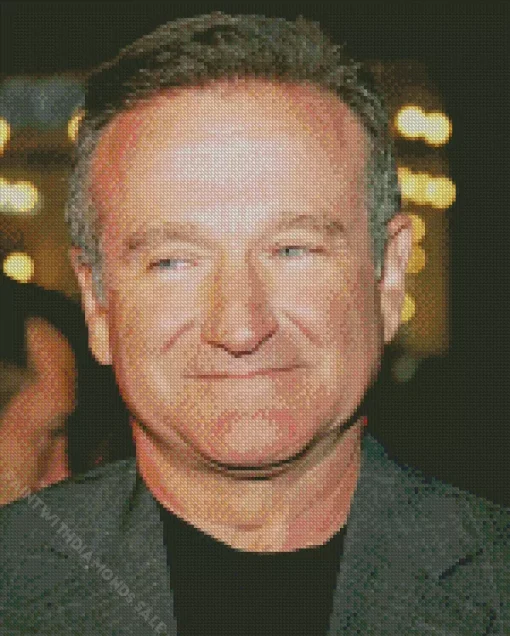 Actor Robin Williams Diamond Painting