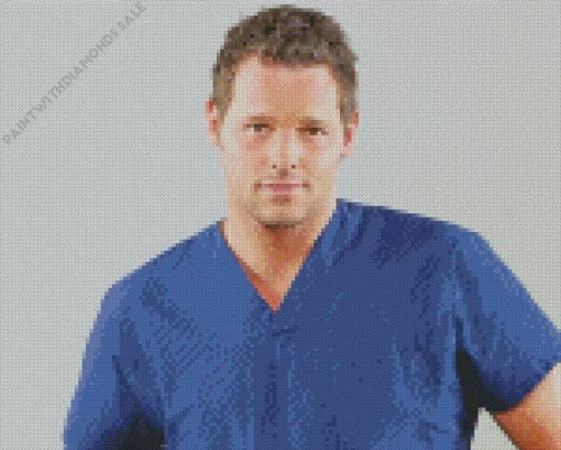 Alex Karev Greys Anatomy Diamond Painting