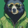 American Black Bear In A Green Hoodie Diamond Painting