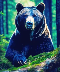 American Black Bear In Forest Diamond Painting