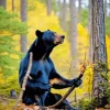 American Black Bear Sitting Next To A Tree Diamond Painting