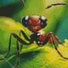 Ant On A Leaf Diamond Painting