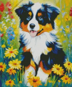 Australian Shepherd Diamond Painting