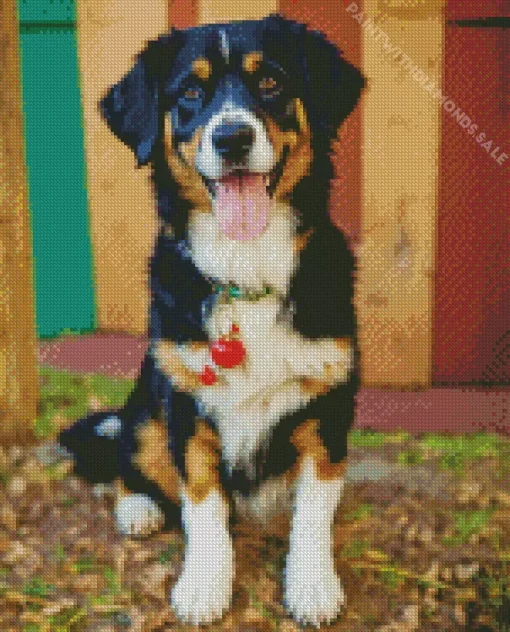 Australian Shepherd Dog Diamond Painting