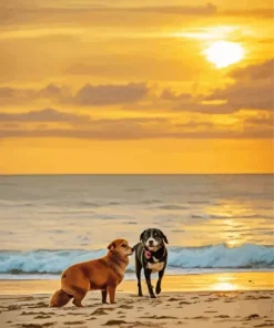 Australian Shepherd Dogs With Sunset Diamond Painting