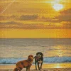 Australian Shepherd Dogs With Sunset Diamond Painting