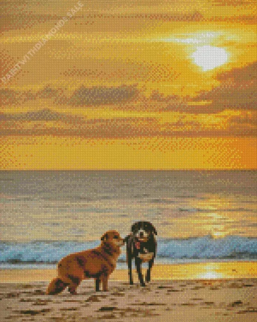 Australian Shepherd Dogs With Sunset Diamond Painting