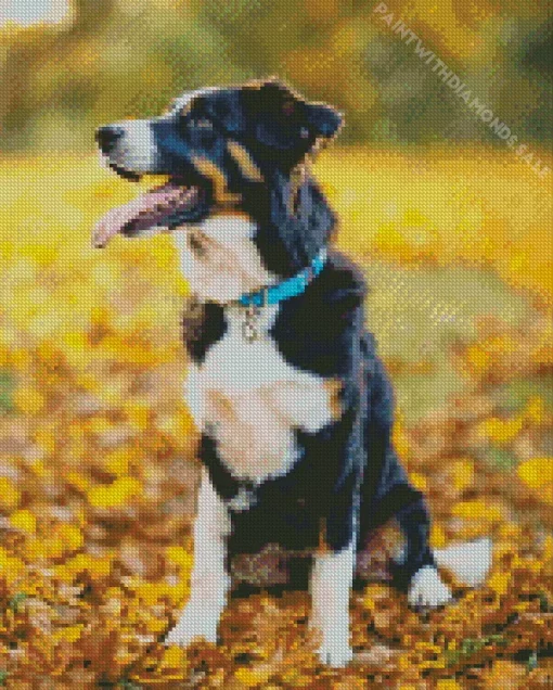 Australian Shepherd In Autumn Leaves Diamond Painting