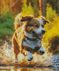 Australian Shepherd In Water Diamond Painting