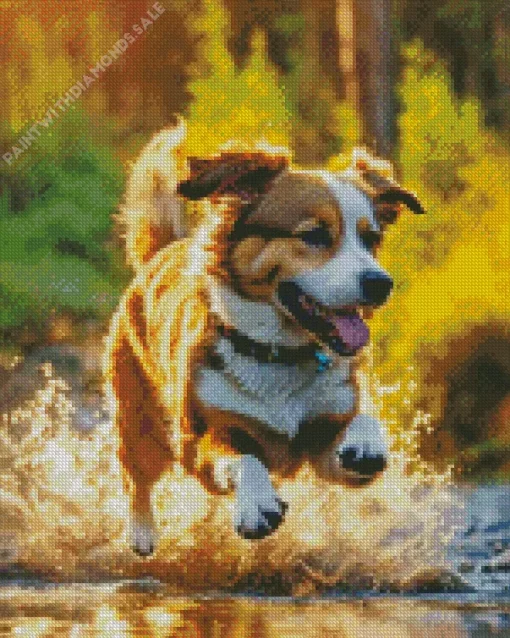 Australian Shepherd In Water Diamond Painting