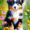 Australian Shepherd Puppy Diamond Painting