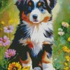 Australian Shepherd Puppy Diamond Painting