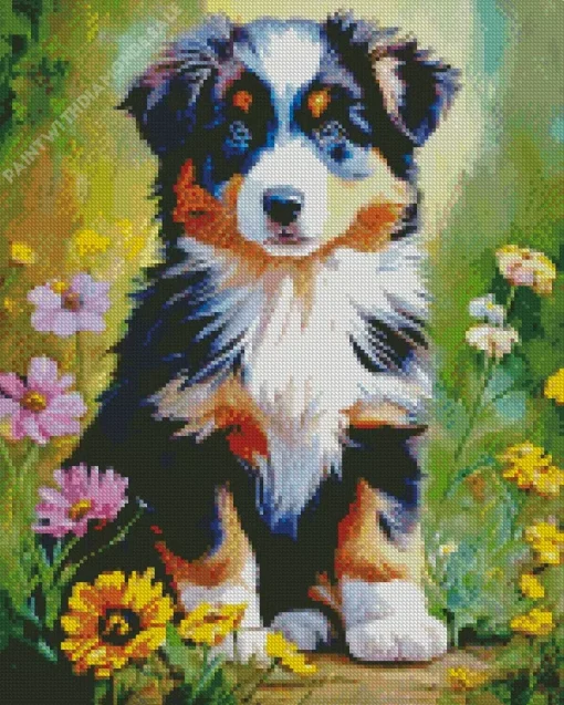 Australian Shepherd Puppy Diamond Painting