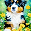 Australian Shepherd With Yellow Flowers Diamond Painting