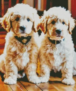 Bernedoodle Diamond Painting