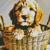 Bernedoodle In A Basket Diamond Painting