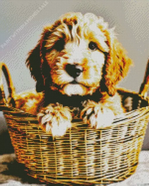 Bernedoodle In A Basket Diamond Painting