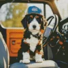 Bernese Mountain Dog In A Car Diamond Painting