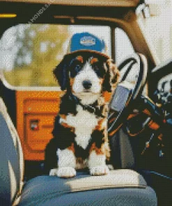 Bernese Mountain Dog In A Car Diamond Painting