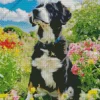 Bernese Mountain Dog In A Garden Diamond Painting