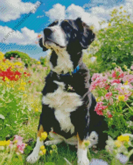 Bernese Mountain Dog In A Garden Diamond Painting