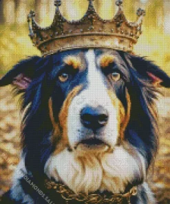 Bernese Mountain Dog With A Crown Diamond Painting