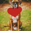 Boxer Dog With Red Heart Diamond Painting