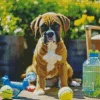 Boxer Dog With Tennis Balls Diamond Painting