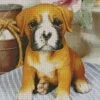 Boxer Puppy Diamond Painting