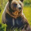 Brown Bear Diamond Painting