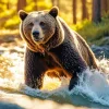 Brown Bear Swimming Diamond Painting