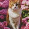 Calico Cat In Pink Flowers Diamond Painting