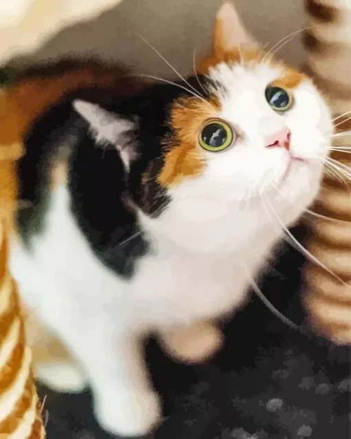 Calico Cat Looking Up Diamond Painting