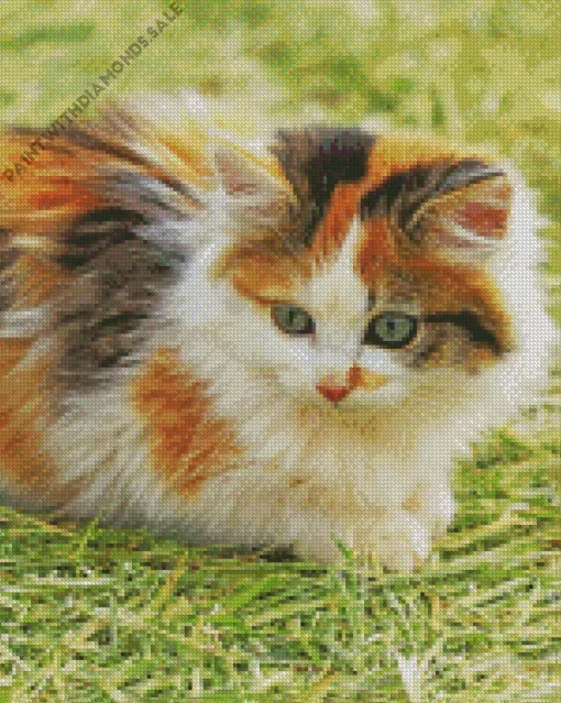 Calico Kitten Diamond Painting