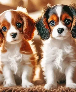 Cavalier King Charles Spaniel Dogs Diamond Painting